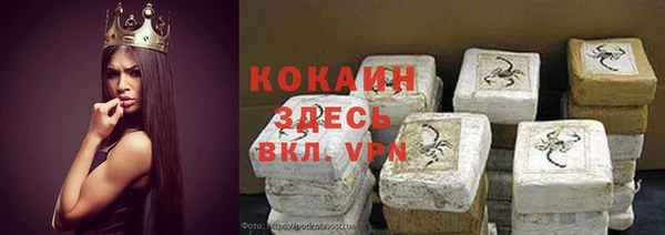 молекула духа Приозерск