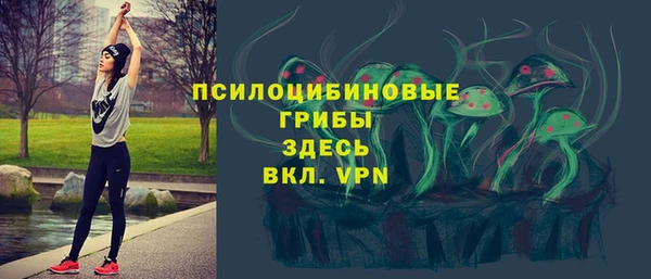 сатива Зеленокумск
