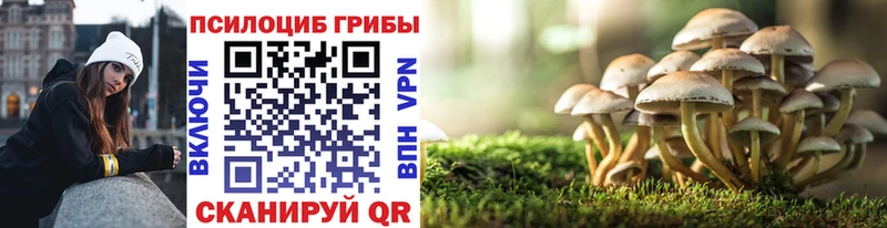 Галлюциногенные грибы Psilocybine cubensis  Купить закладки  Костерёво 