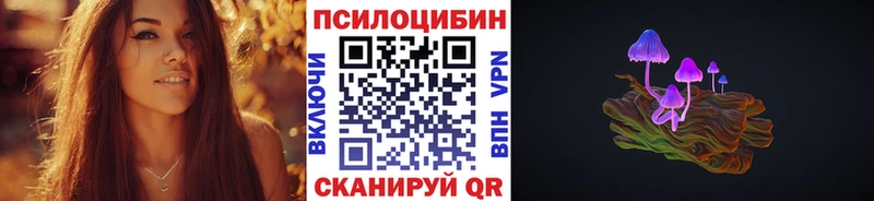 Псилоцибиновые грибы Psilocybe Костерёво