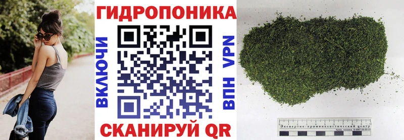 Канабис VHQ  Купить где  Костерёво 